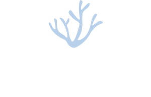 Nordic-Spa-at-Brunello-Logo